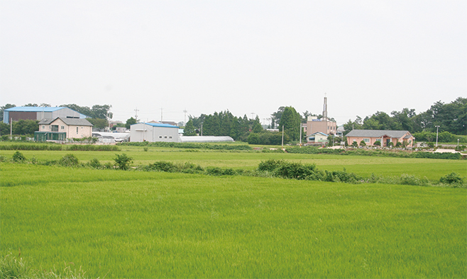 옹기를 굽던 인광2리 점촌(2007)
