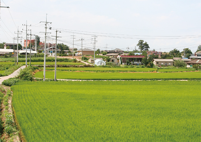 옛 평택현 동면의 중심지였던 노와1리 동면마을(2008)