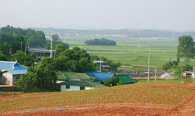 조선시대 홍원목장이 있었던 홍원2리 마장과 마장앞뜰(2005)